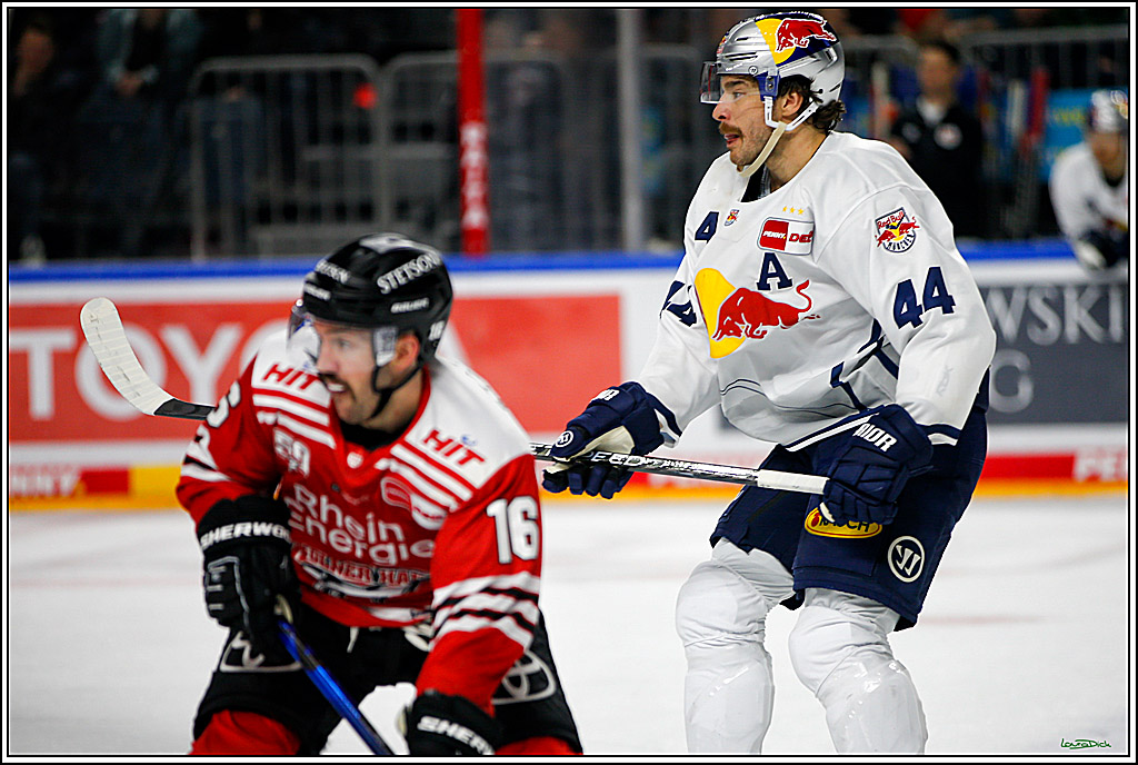 PENNY DEL; Koelner Haie- Red BUll Muenchen; Koeln, 08.11.2022